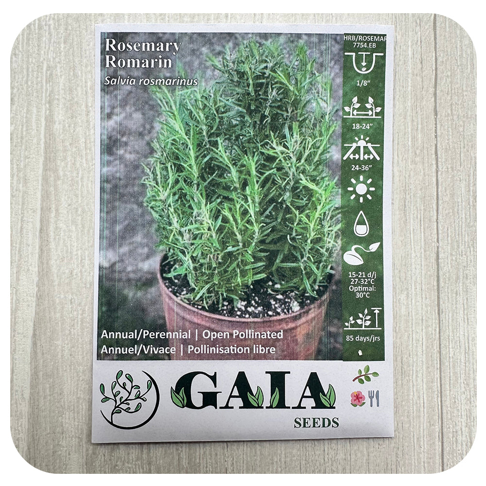 Rosemary Seeds (Organic)