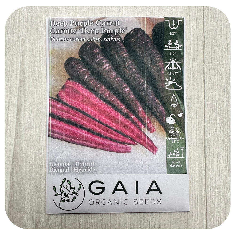 Deep Purple Carrot Seeds (Organic)