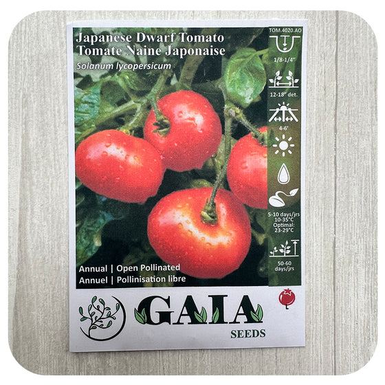 Tomato 'Japanese Dwarf Tomato' Seeds (Organic)