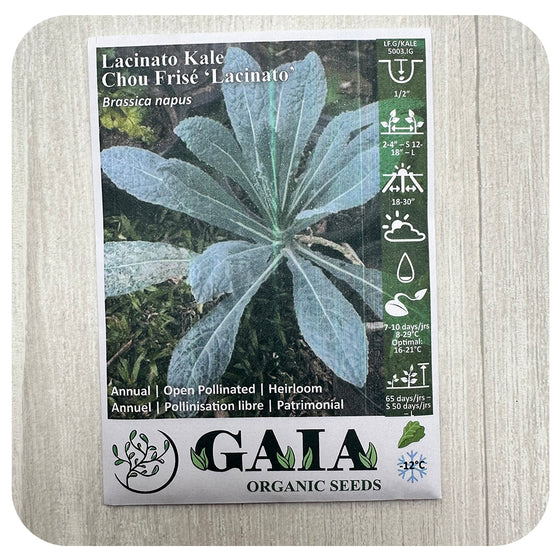Kale 'Lacinato/ Dinosaur' Seeds (Organic)