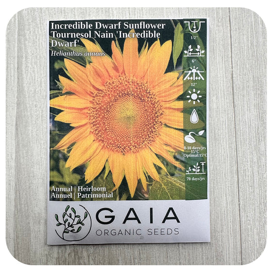 Sunflower 'Incredible Dwarf' Seeds (Organic)