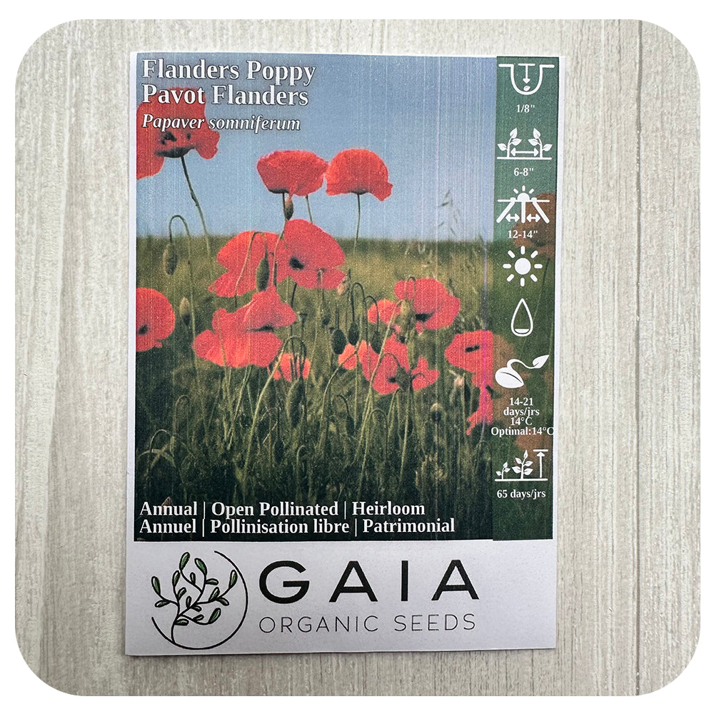 Flanders Poppy Seeds (Organic)