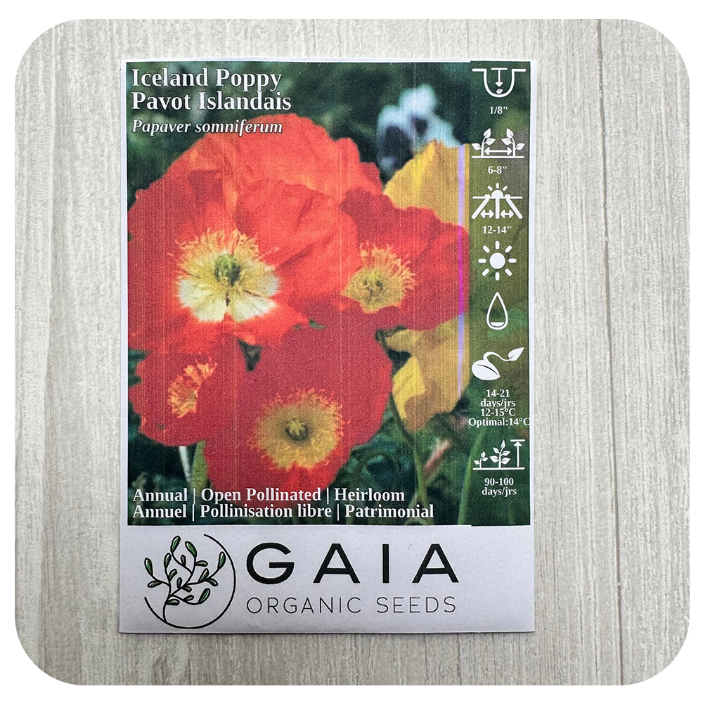 Iceland Poppy Seeds (Organic)