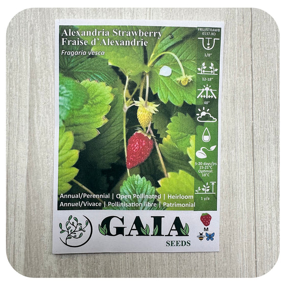 Strawberry 'Alexandria' Seeds (Organic)