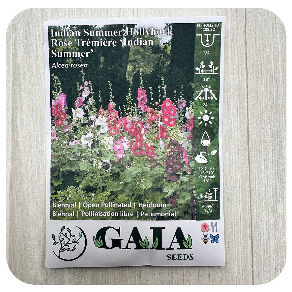 Hollyhock Seeds (Organic)