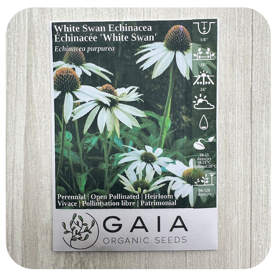 White Swan Echinacea Seeds (Organic)
