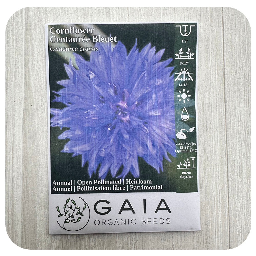 Cornflower Seeds (Organic)