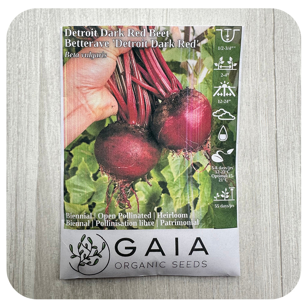 Beet "Detroit Dark Red' Seeds (Organic)