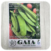 Pea 'Sugar Ann' Seeds (Organic)