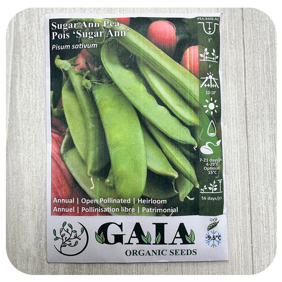 Pea 'Sugar Ann' Seeds (Organic)