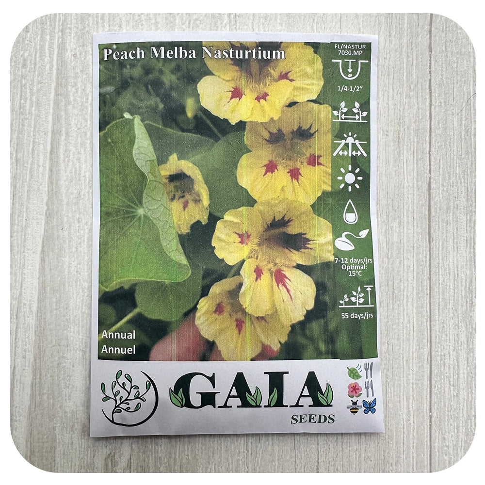Nasturtium 'Peach Melba' Seeds (Organic)