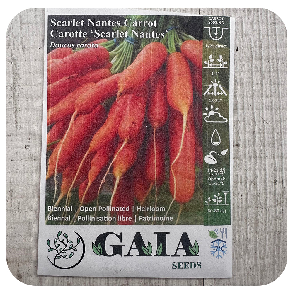 Carrot 'Scarlet Nantes' Seeds (Organic)