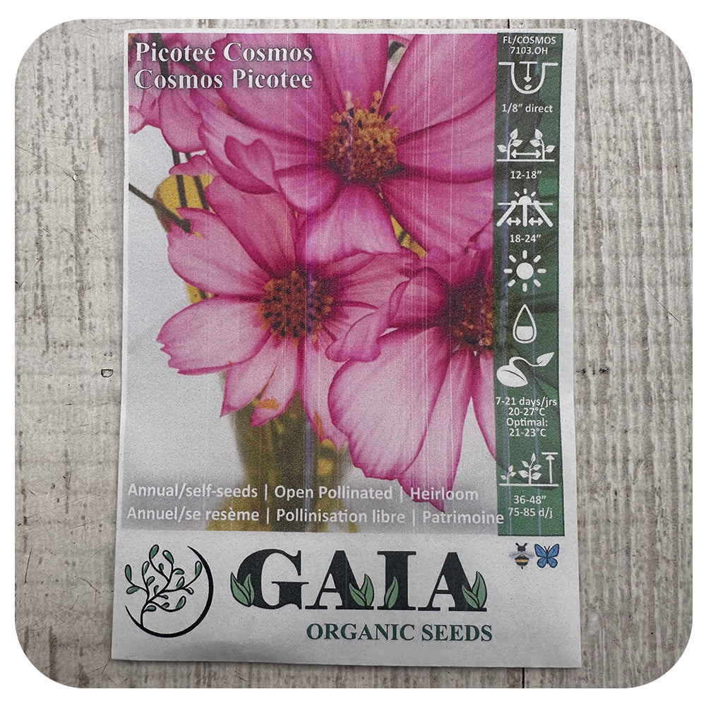 Cosmos Pictoee Seeds (Organic)