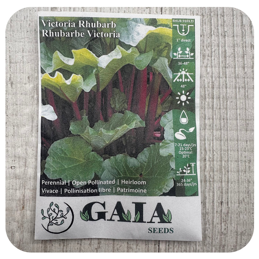 Rhubarb 'Victoria' Seeds (Organic)