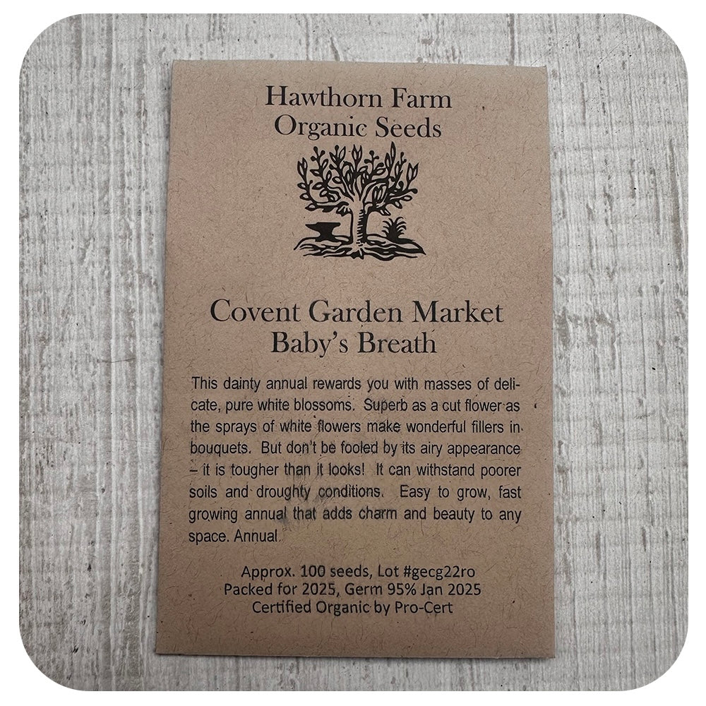 Baby's Breath Seeds (Organic)