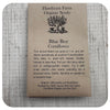 Cornflower Seeds  - Hawthorne Farm (Organic)