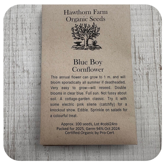 Cornflower Seeds  - Hawthorne Farm (Organic)