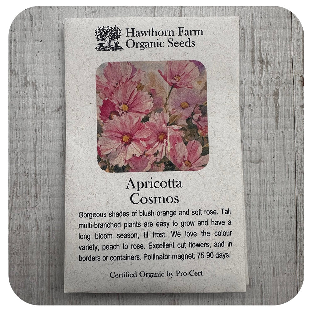 Cosmos - Apricot (Hawthorn Farm ORGANIC Seeds)