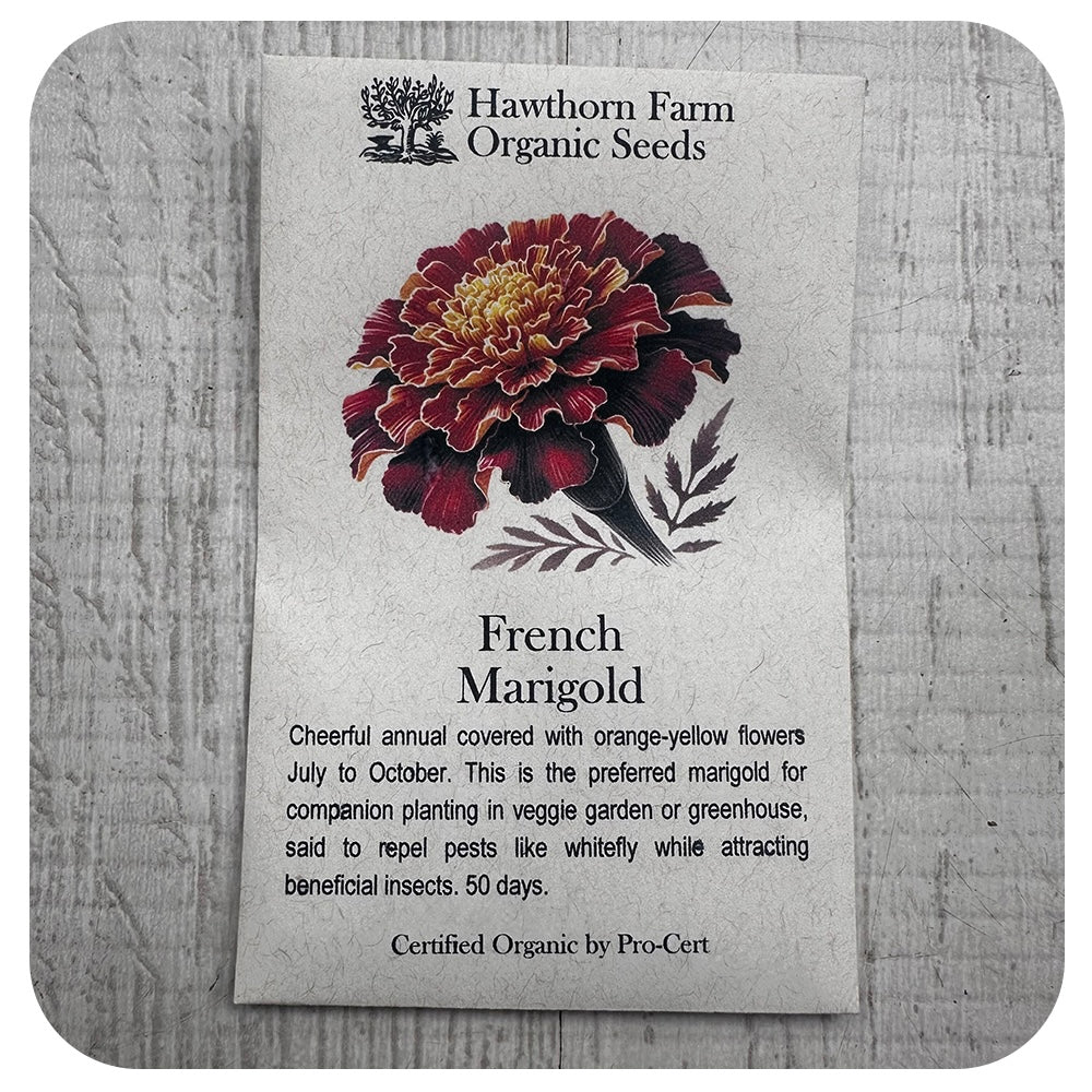 French Marigold (Hawthorn Farm ORGANIC Seeds)