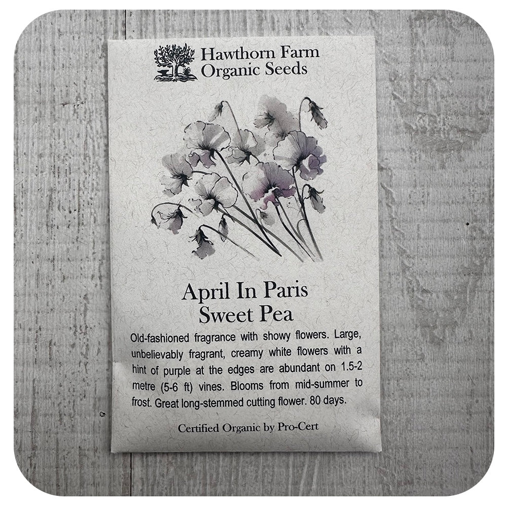 Sweet Pea  - April in Paris (Hawthorn Farm ORGANIC Seeds)