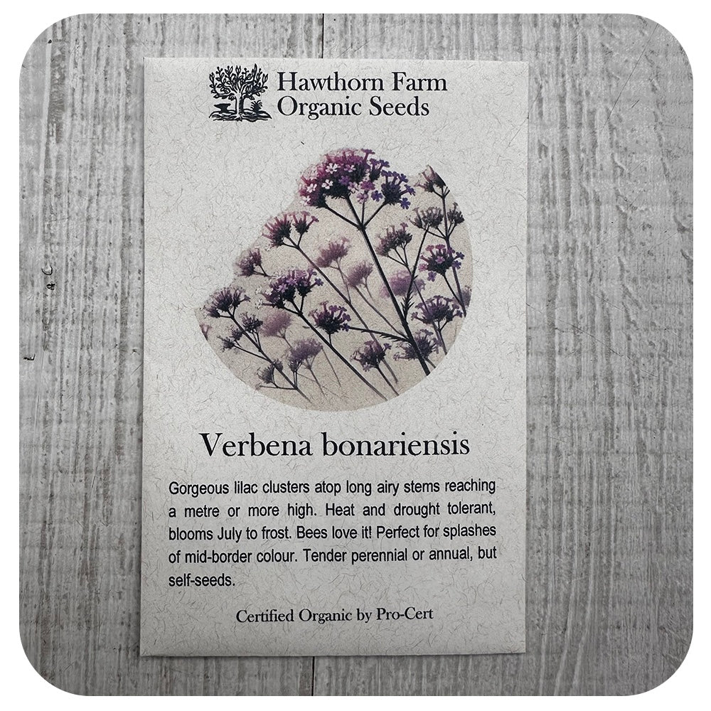 Verbena Bonariensis (Hawthorn Farm ORGANIC Seeds)