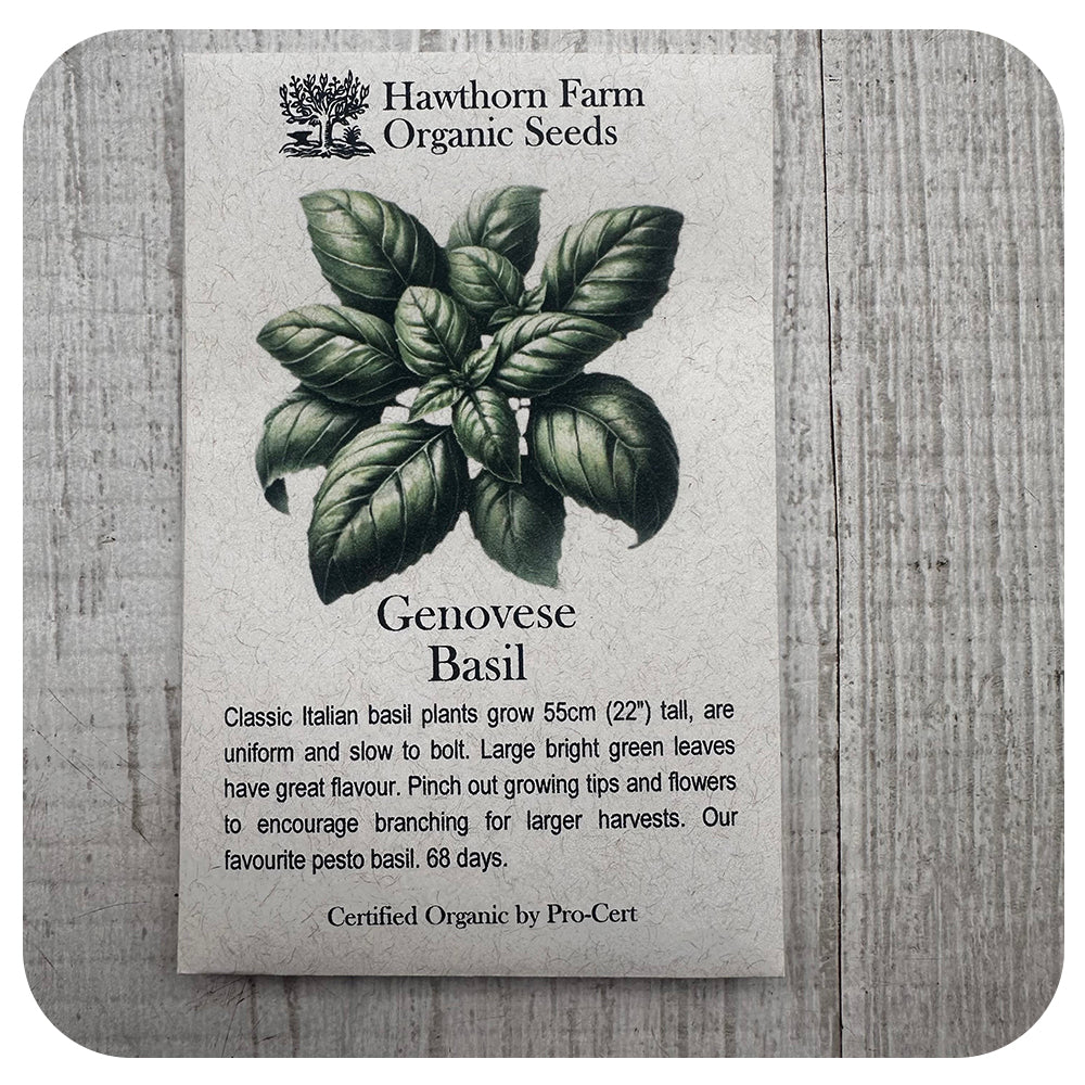 Basil - Genovese (Hawthorne Farm ORGANIC Seeds)