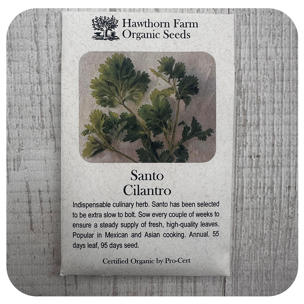 Cilantro - Santo (Hawthorne Farm ORGANIC Seeds)