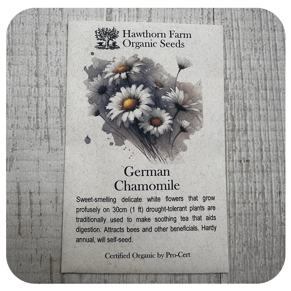 German Chamomile (Hawthorne Farm ORGANIC Seeds)