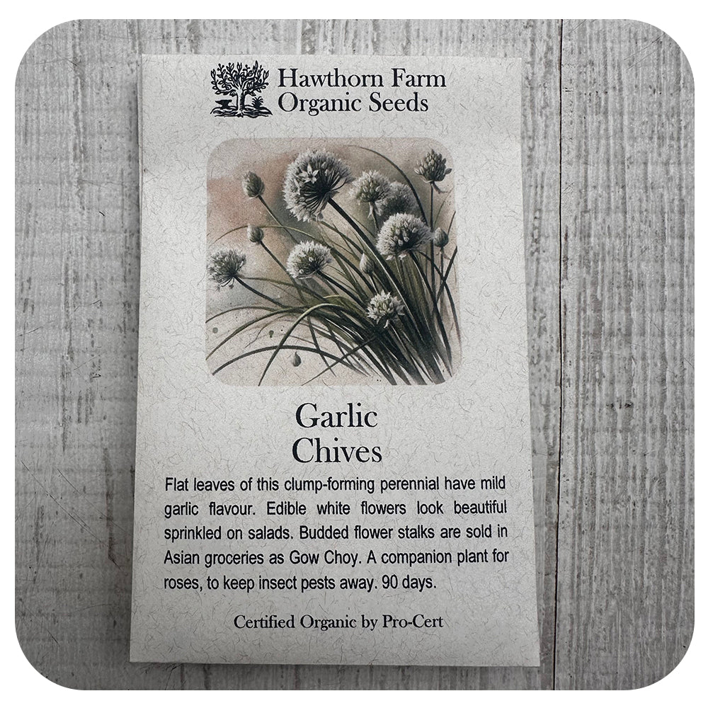 Garlic Chives (Hawthorne Farm ORGANIC Seeds)