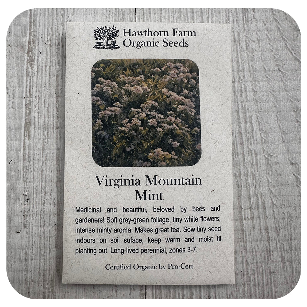 Virginia Mountain Mint (Hawthorne Farm ORGANIC Seeds)