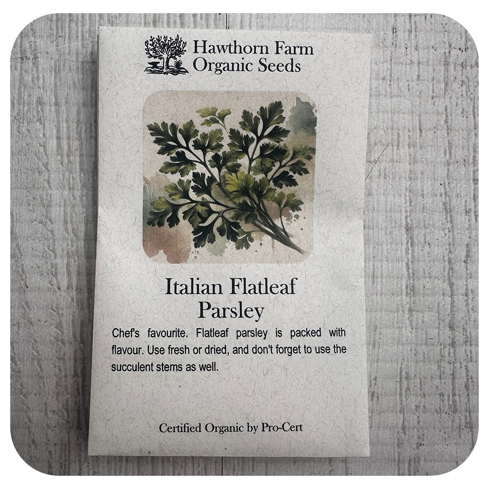 Parsley - Italian Flatleaf (Hawthorn Farm ORGANIC Seeds)
