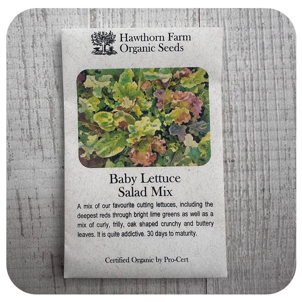 Baby Lettuce Mix (Hawthorn Farm ORGANIC Seeds)
