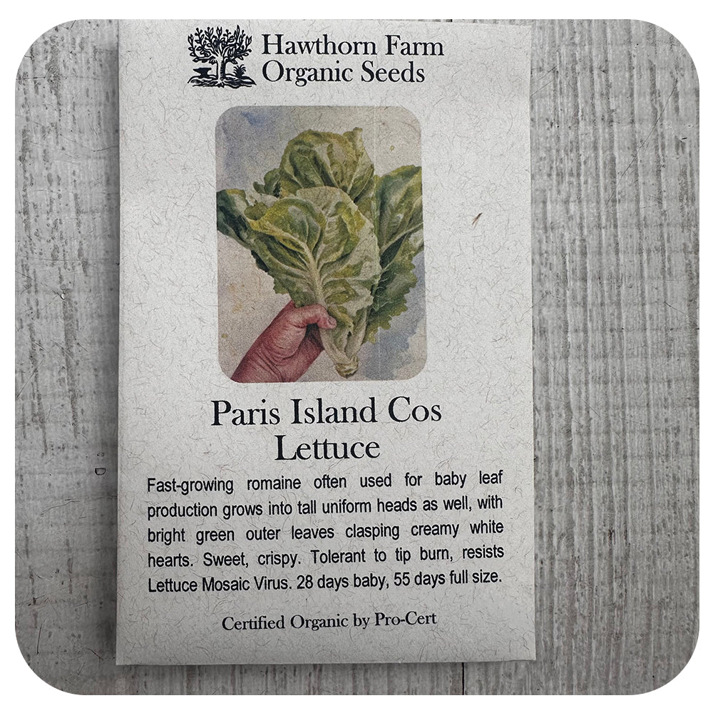 Romaine  - Paris Island Cos Variety (Hawthorn Farm ORGANIC Seeds)