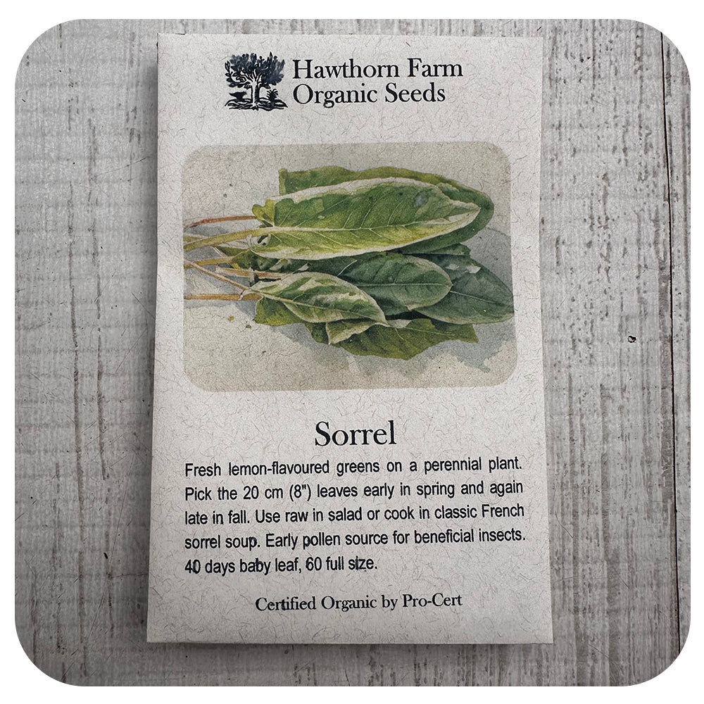 Sorrel (Hawthorn Farm ORGANIC Seeds)