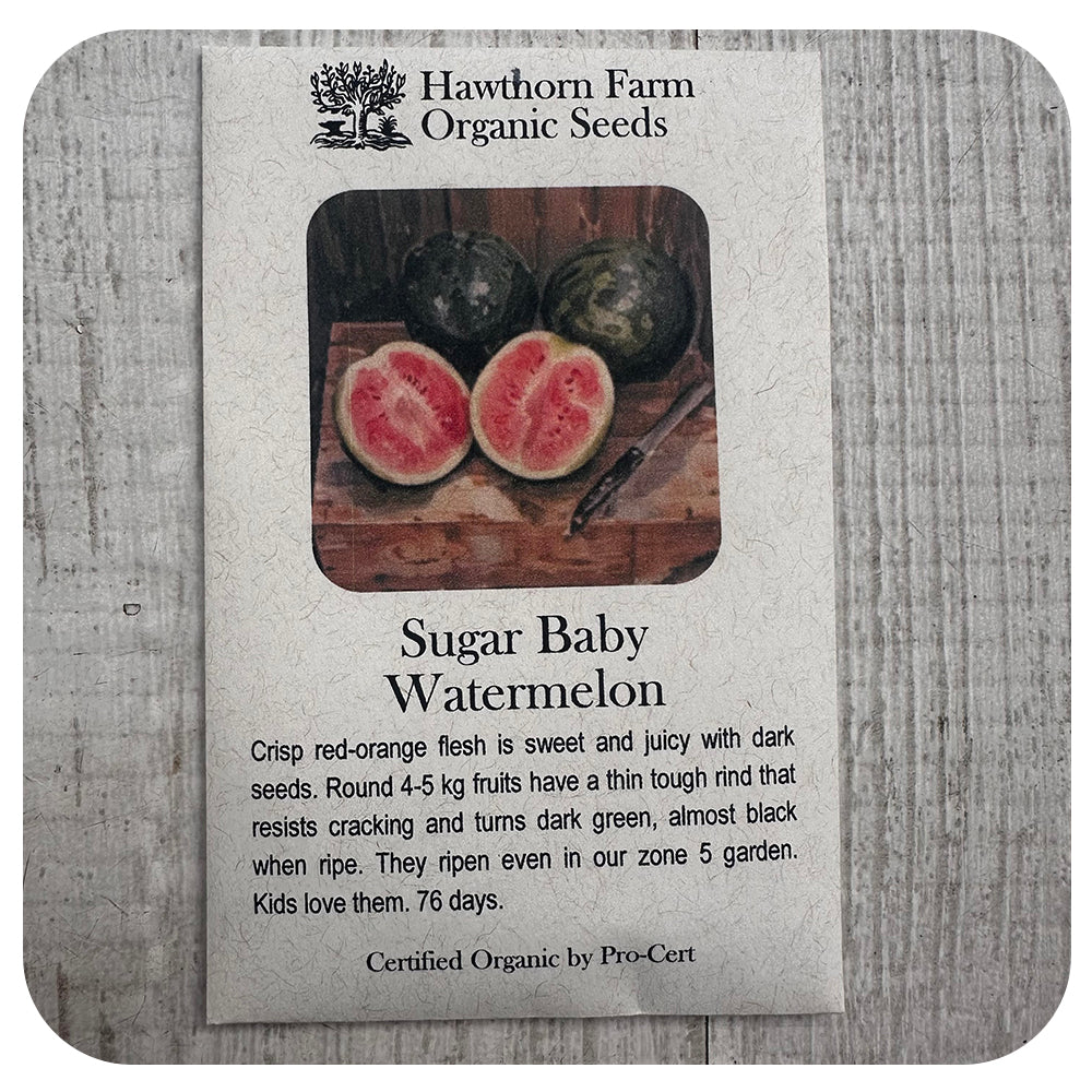 Watermelon - Sugar Baby Variety (Hawthorn Farm ORGANIC Seeds)