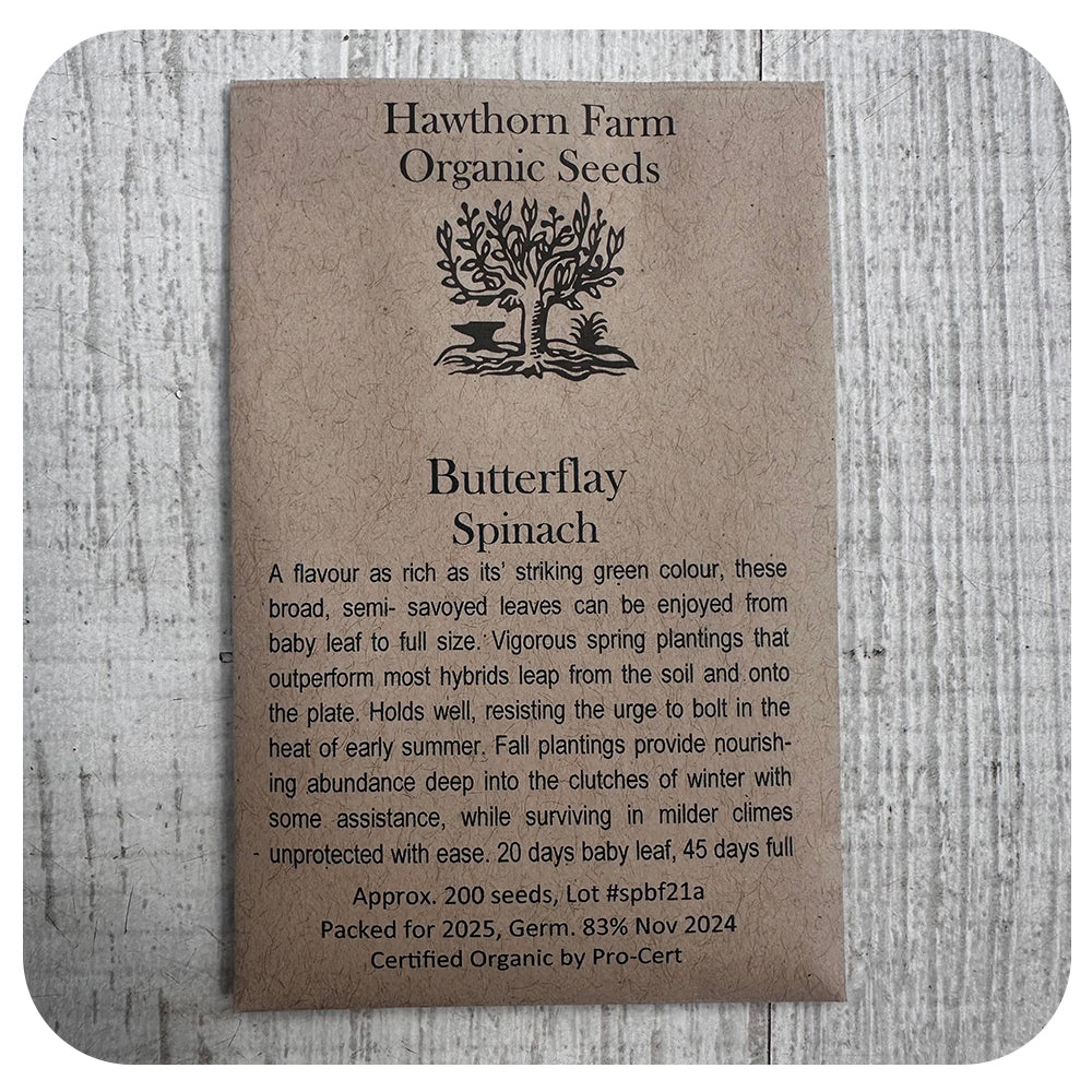 Butterfly Spinach Seeds (Hawthorn Farm Organic Seed)