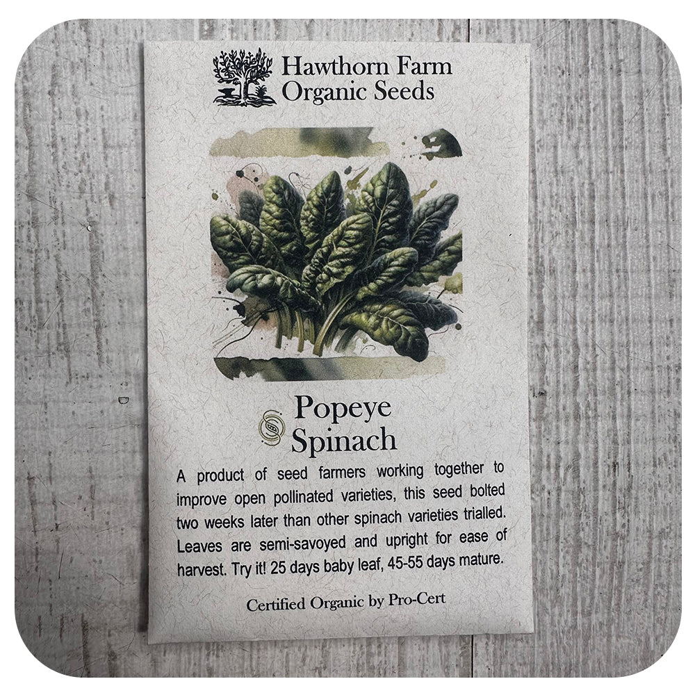 Spinach - Popeye Variety (Hawthorn Farm ORGANIC Seeds)