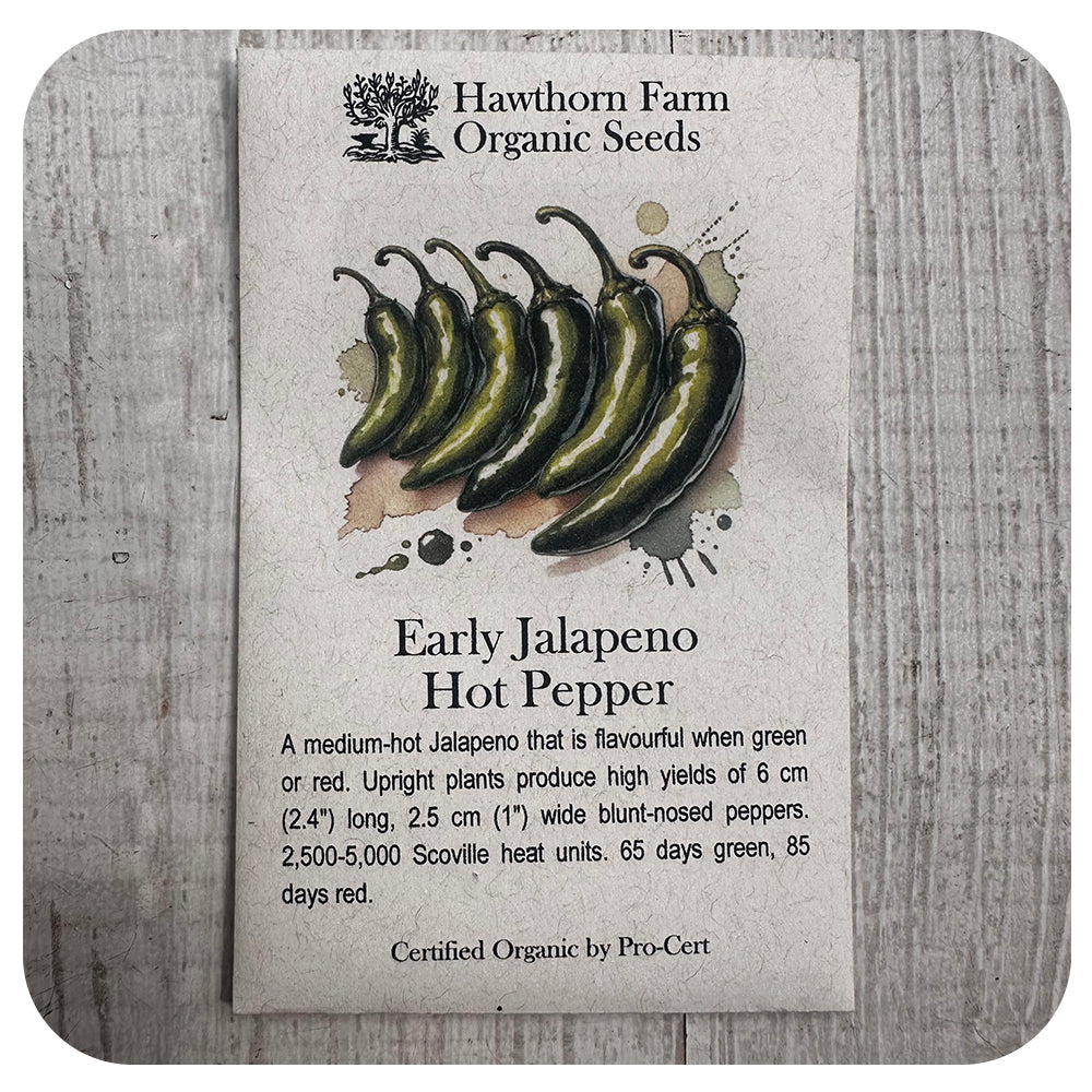 Jalapeno Pepper (Hawthorn Farm ORGANIC Seeds)