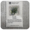 Scallion Onion 'Parade' (Hawthorn Farm ORGANIC Seeds)