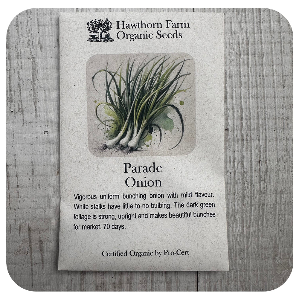 Shelling Peas  - Lincoln Variety (Hawthorn Farm ORGANIC Seeds)