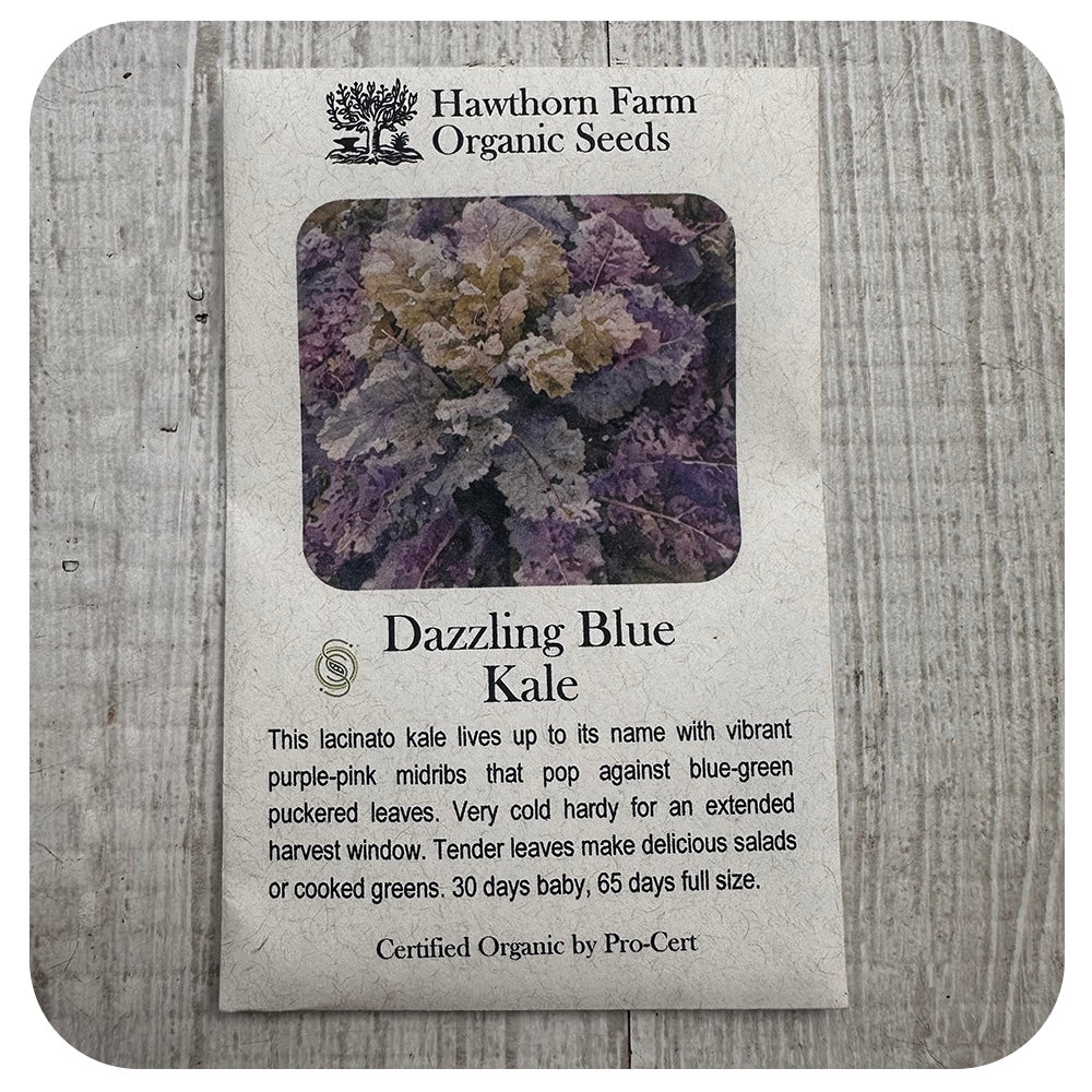 Kale - Dazzling Blue (Hawthorn Farm ORGANIC Seeds)