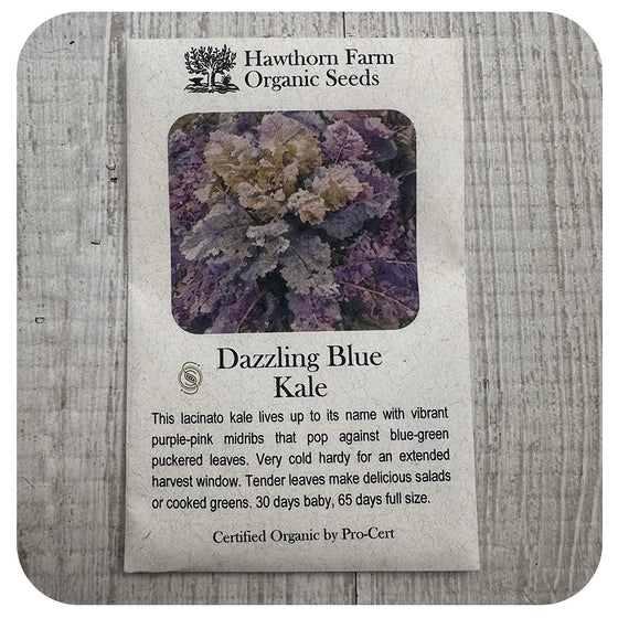 Kale - Dazzling Blue (Hawthorn Farm ORGANIC Seeds)