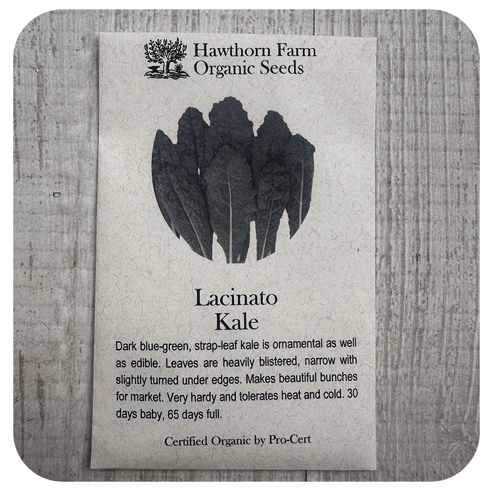 Kale  - Lacinato (Hawthorn Farm ORGANIC Seeds)