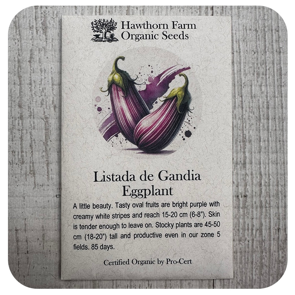 Eggplant - Listada de Gandia Variety (Hawthorn Farm ORGANIC Seeds)