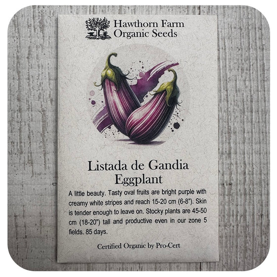 Eggplant - Listada de Gandia Variety (Hawthorn Farm ORGANIC Seeds)