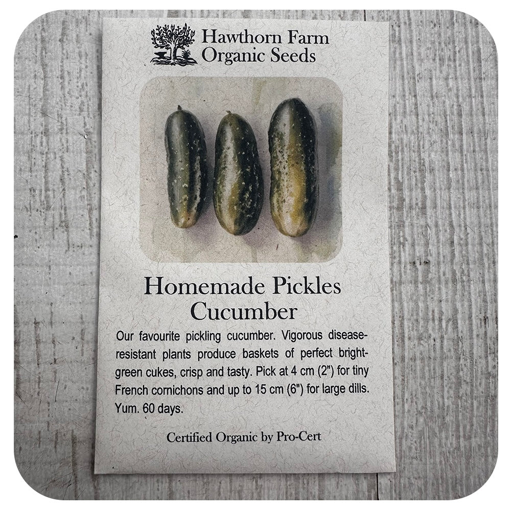 Pickling Cucumber (Hawthorn Farm ORGANIC Seeds)