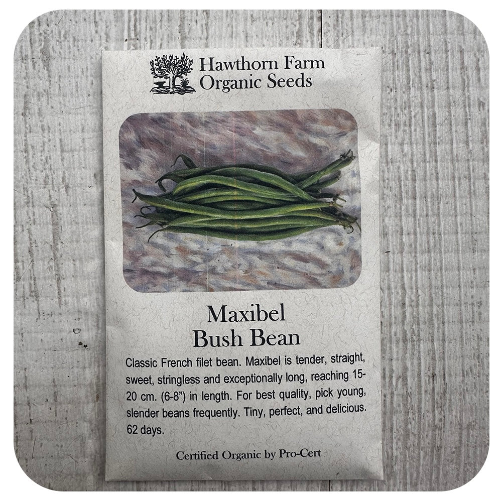 Maxibel French Filet Bush Bean (Hawthorn Farm ORGANIC Seeds)