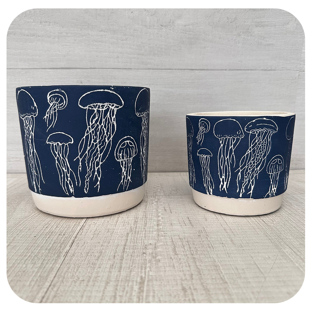 Jellyfish Pot