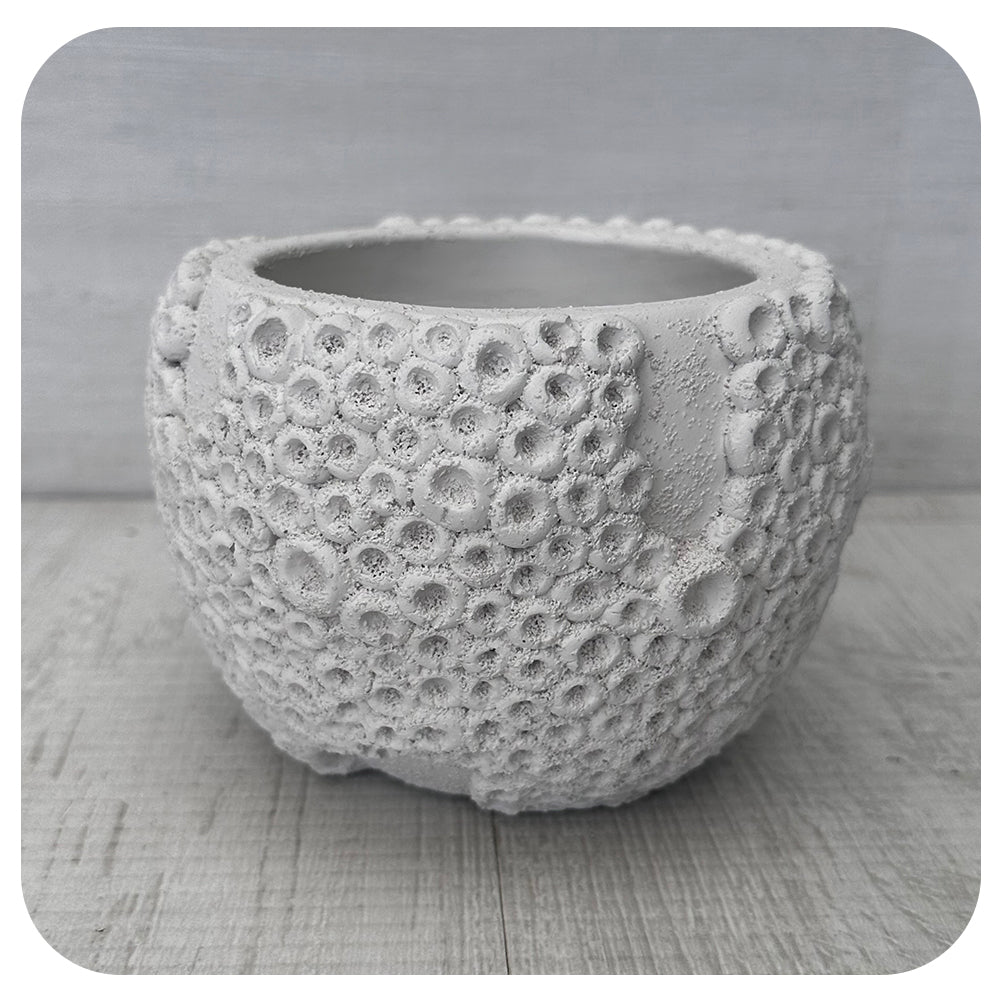 White Textured Barnacle Pot