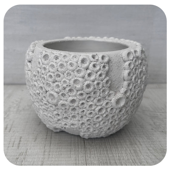 White Textured Barnacle Pot